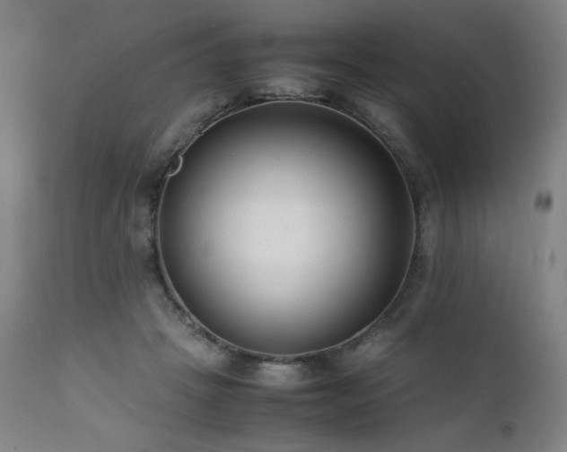 X0000112050457200908041155