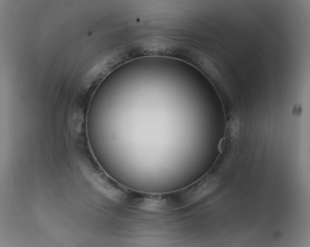 X0000112050458200908041155