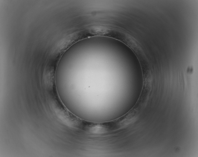 X0000112050460200908041155