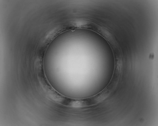 X0000112050461200908041155