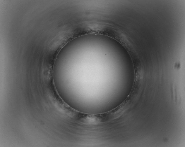 X0000112050464200908041155