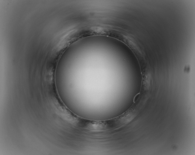 X0000112050466200908041155