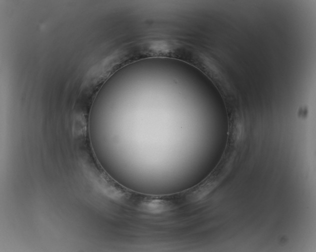 X0000112050467200908041155