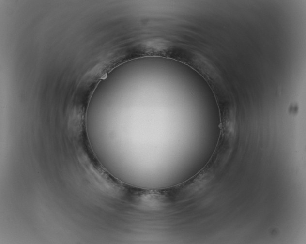 X0000112050468200908041155