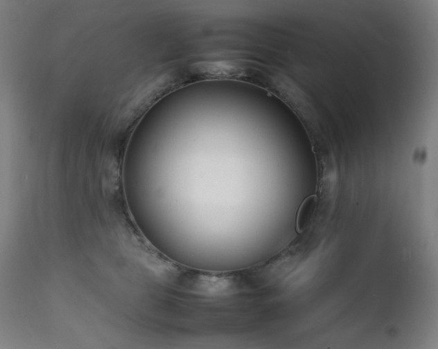 X0000112050469200908041155