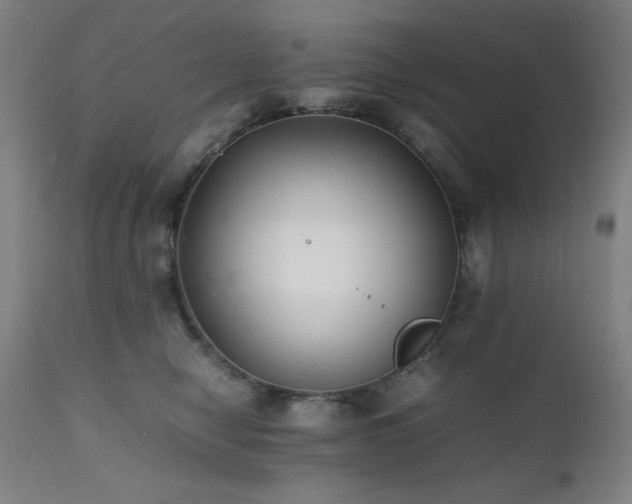 X0000112050470200908041155