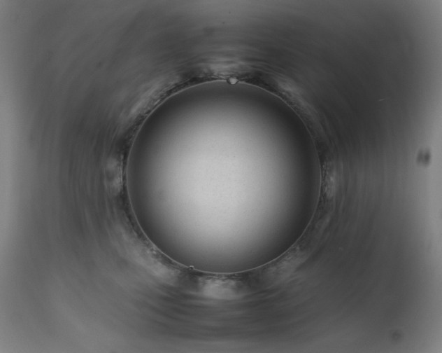 X0000112050471200908041155