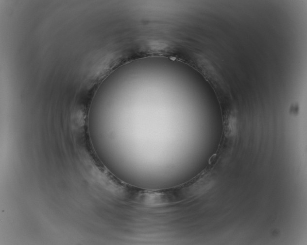 X0000112050472200908041155