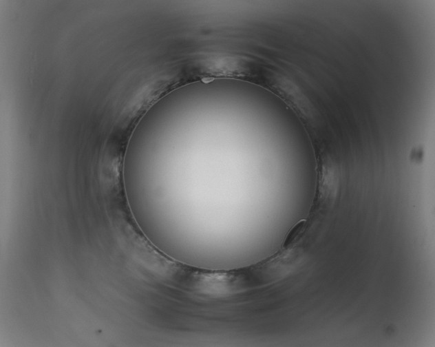 X0000112050473200908041155