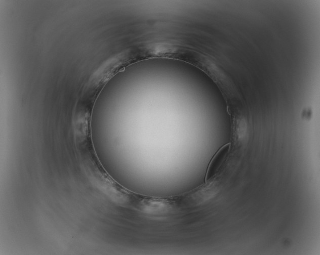 X0000112050475200908041155