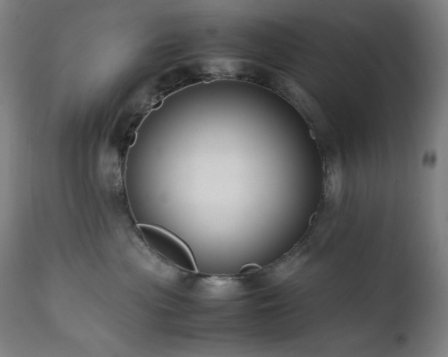 X0000112050477200908041155