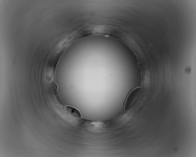 X0000112050478200908041155