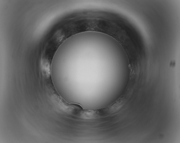 X0000112050479200908041155