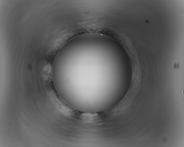 X0000112050480200908041155