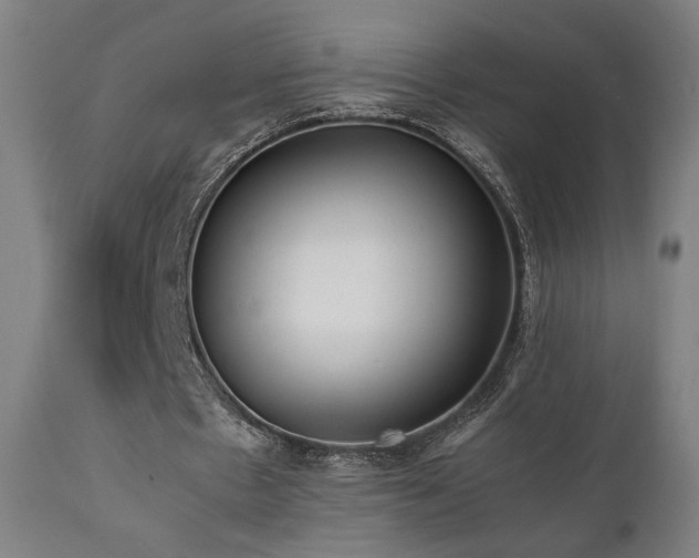 X0000112050481200908041154