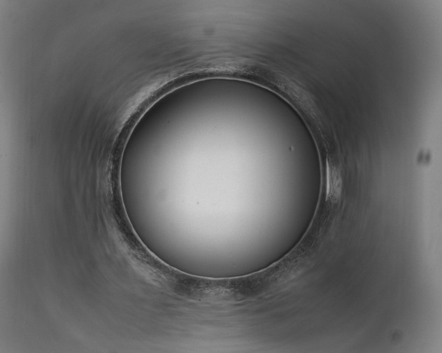 X0000112050483200908041154