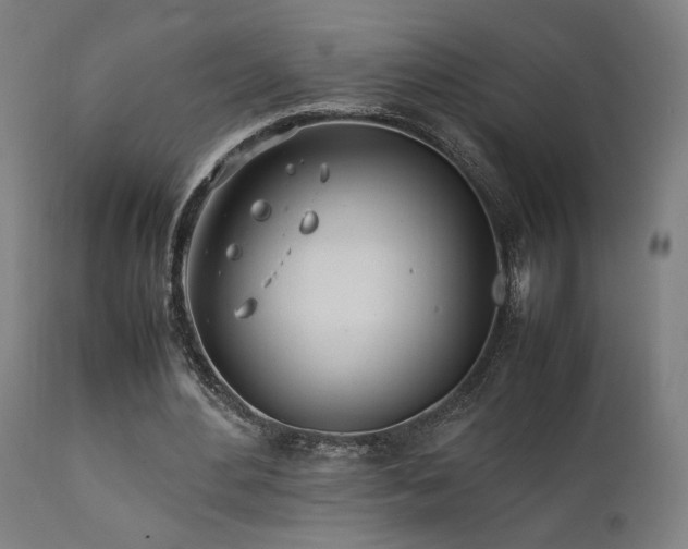 X0000112050484200908041154