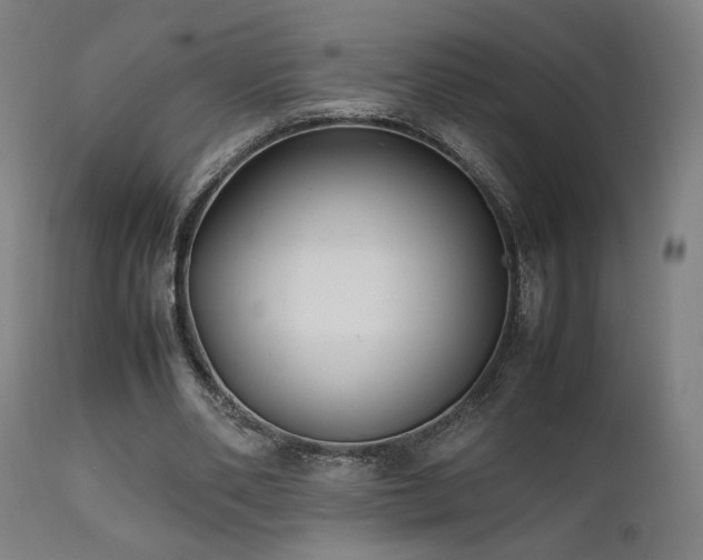 X0000112050486200908041154