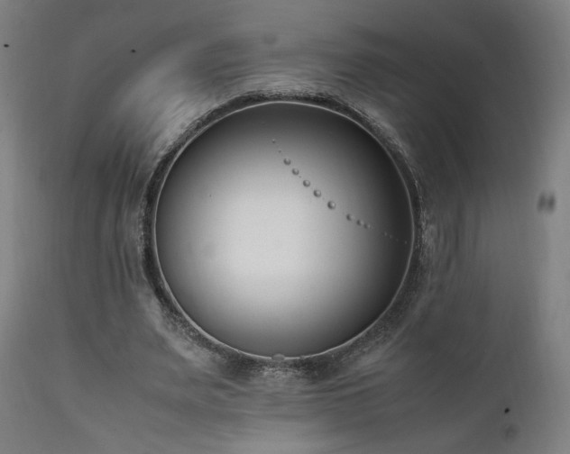 X0000112050487200908041154