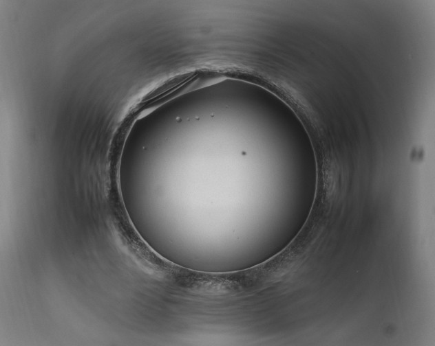 X0000112050488200908041154