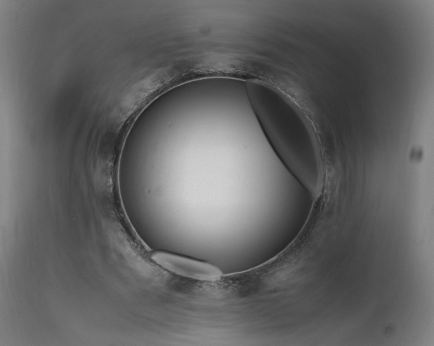 X0000112050489200908041154