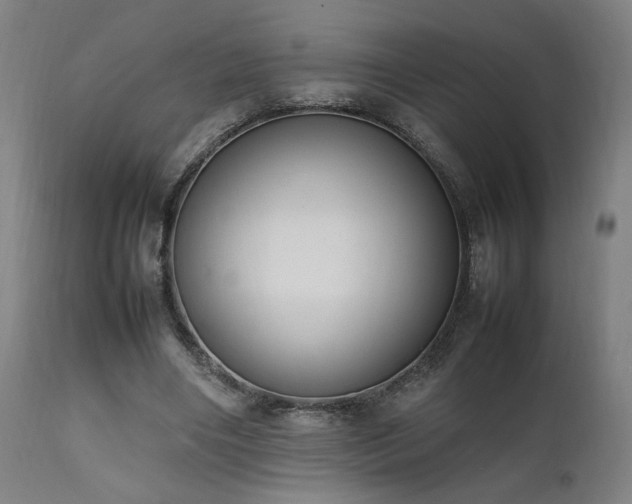 X0000112050490200908041154