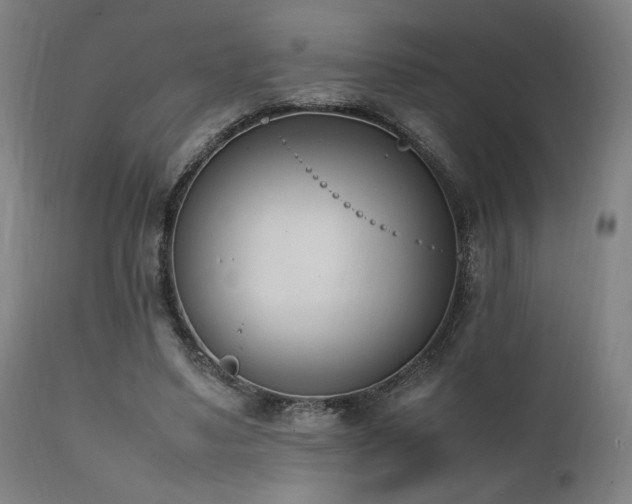 X0000112050491200908041154