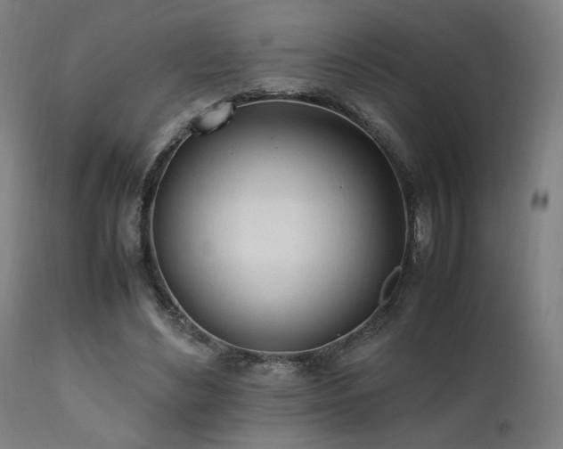 X0000112050492200908041154