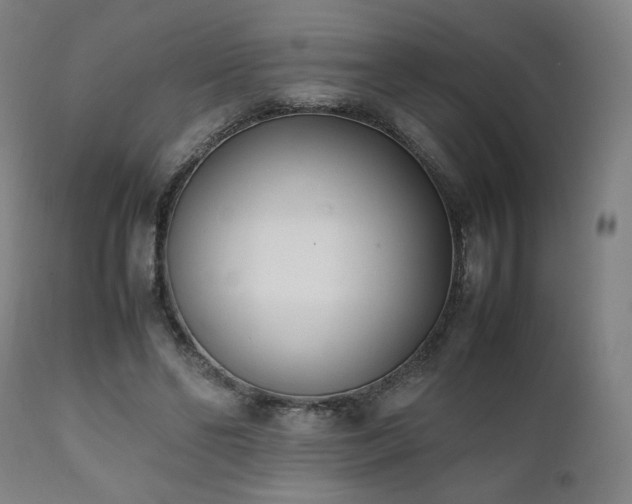 X0000112050494200908041154