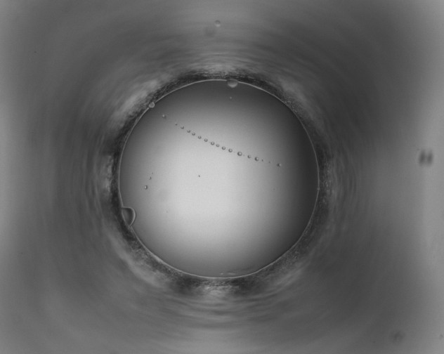 X0000112050495200908041154