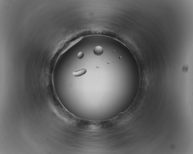 X0000112050496200908041154