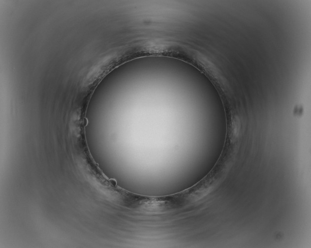 X0000112050497200908041154