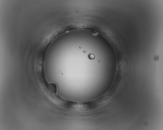 X0000112050499200908041154