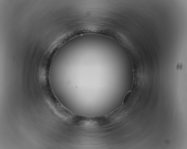 X0000112050500200908041154