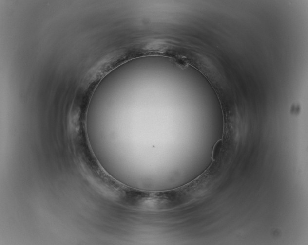 X0000112050504200908041154