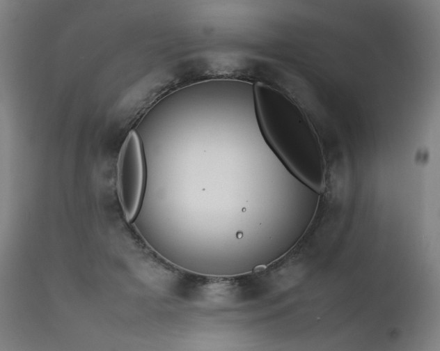 X0000112050505200908041154