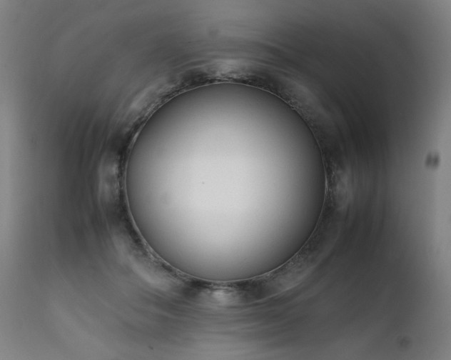 X0000112050506200908041154