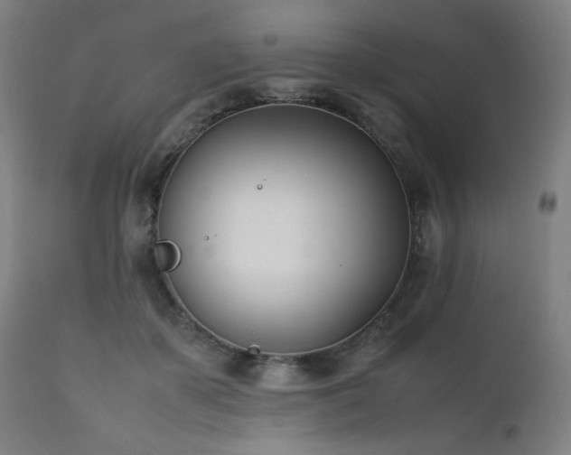 X0000112050507200908041154