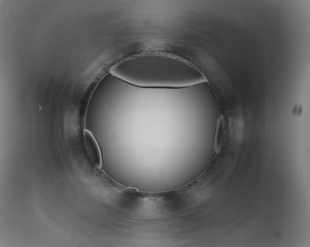 X0000112050508200908041154