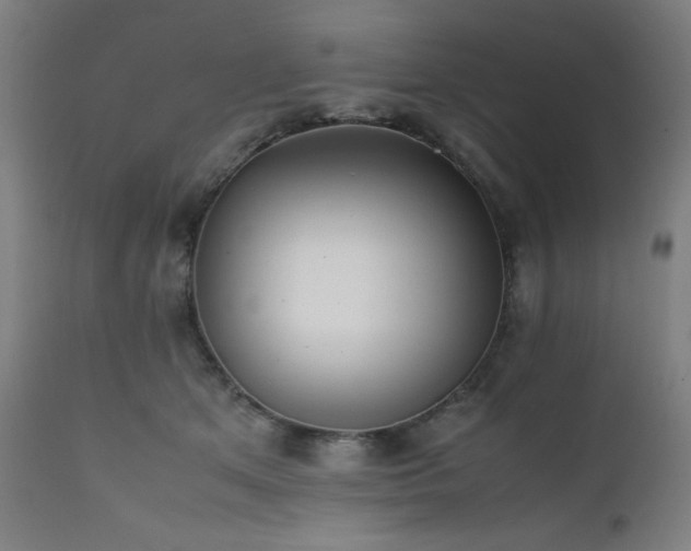 X0000112050513200908041153