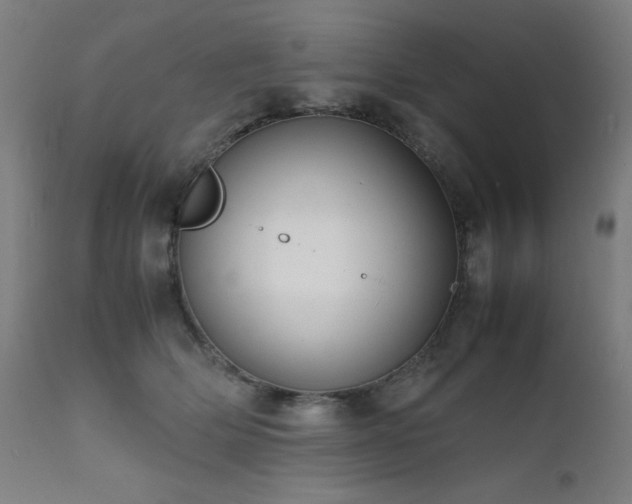X0000112050514200908041153