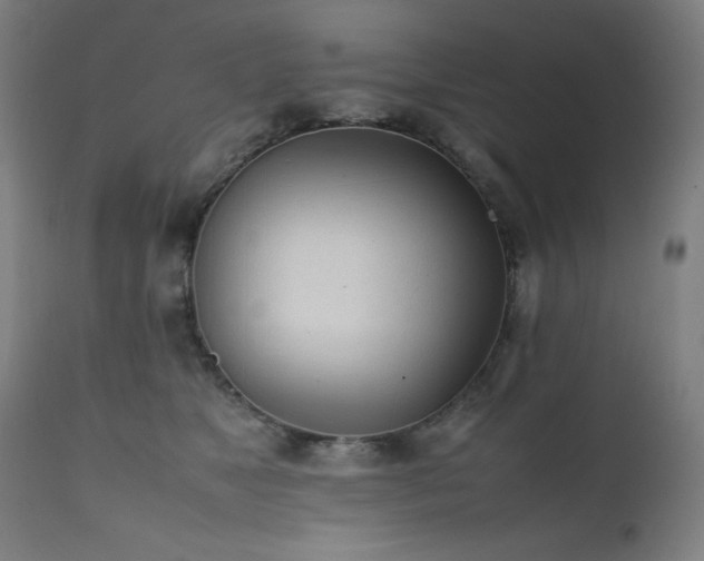 X0000112050517200908041153