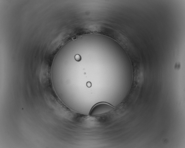 X0000112050518200908041153