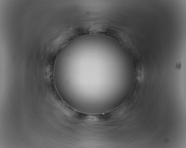 X0000112050519200908041153