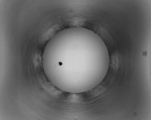 X0000112050522200908041153