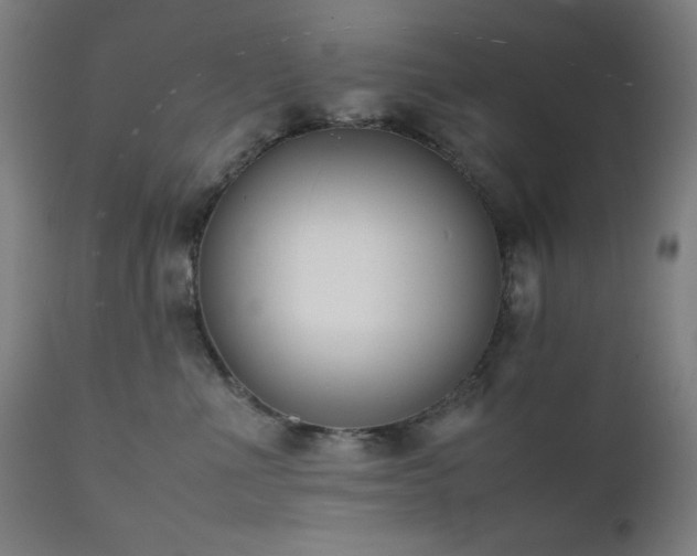 X0000112050523200908041153