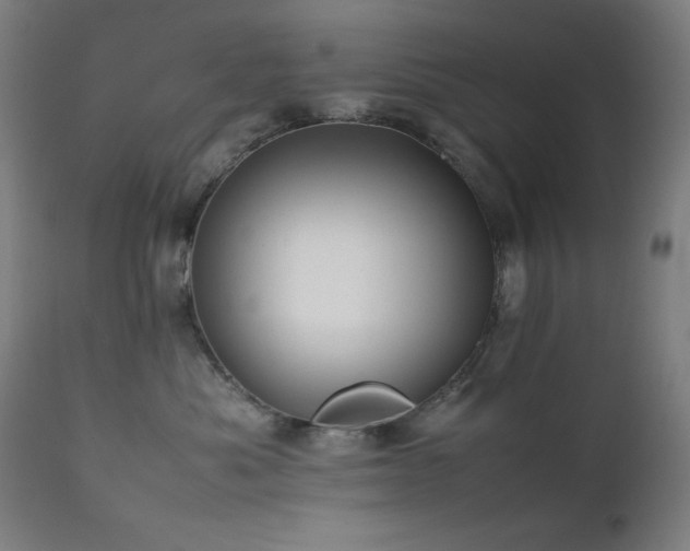 X0000112050525200908041153