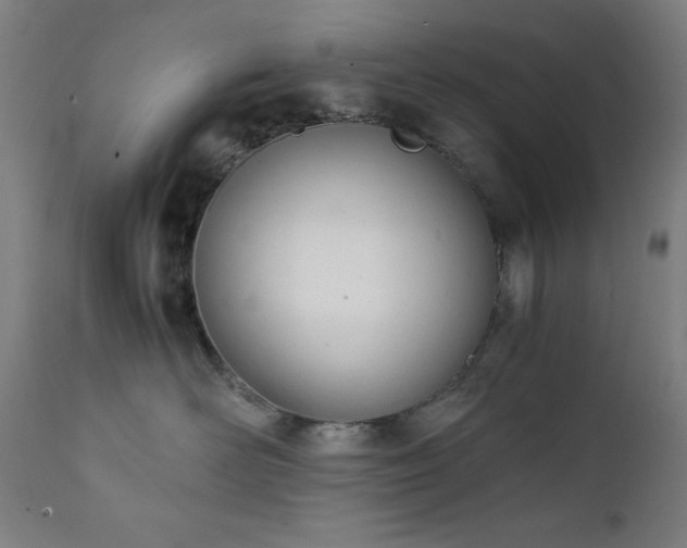 X0000112050526200908041153