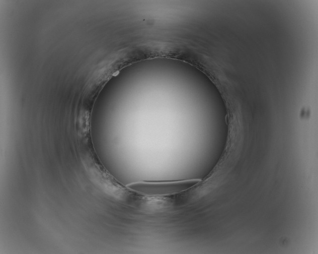 X0000112050528200908041153