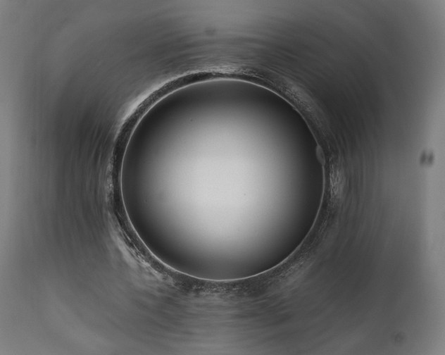 X0000112050532200908041153